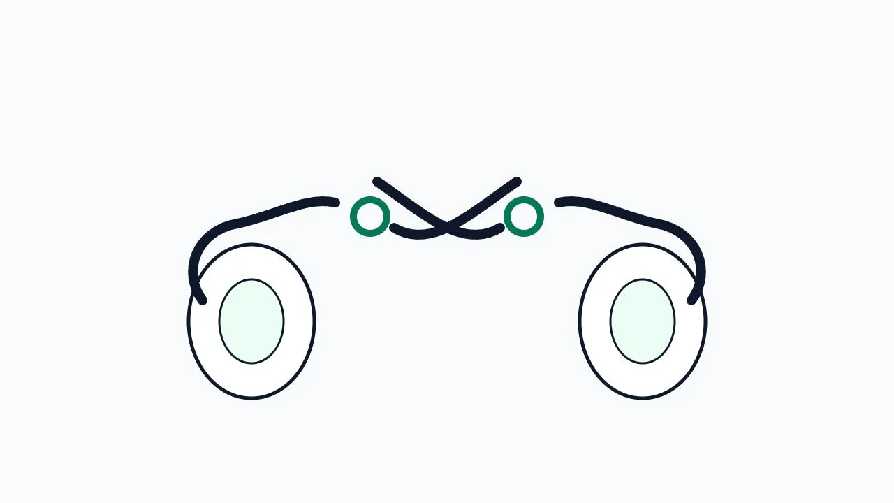 Two mirrored ovals, each with an outgoing tube interrupted by a green ring.