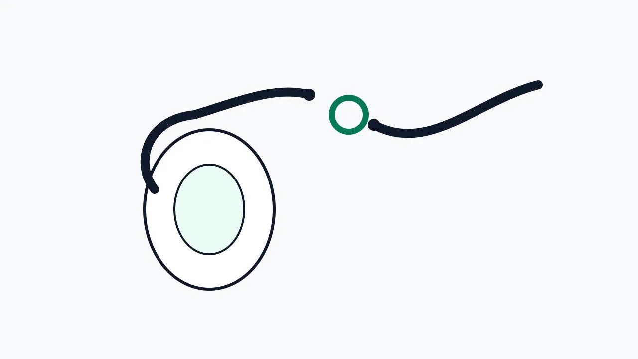 A stylised oval and outgoing tube with a green ring marking a clear gap in the path.